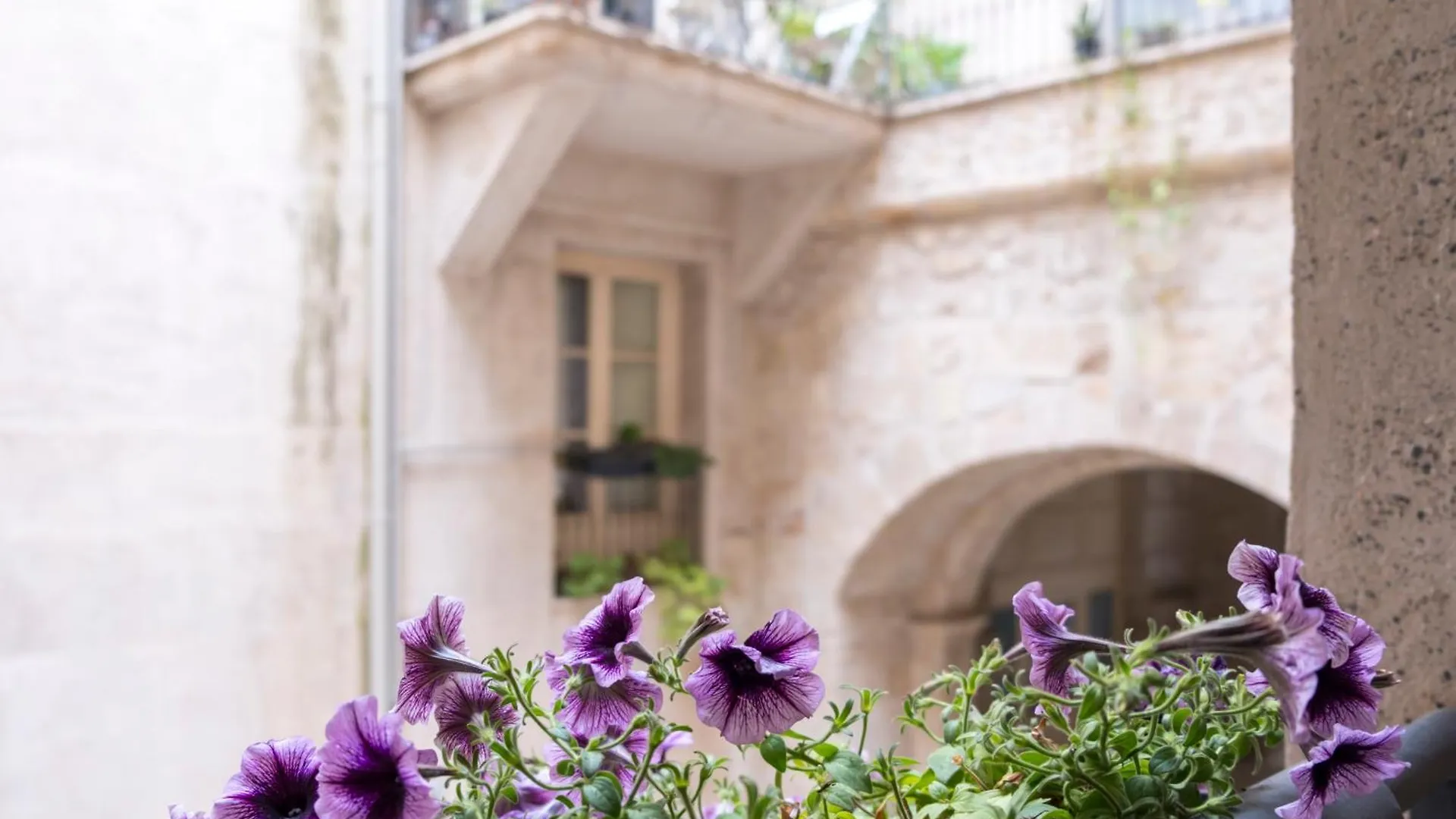 Tomasi Apartment Palermo Italy